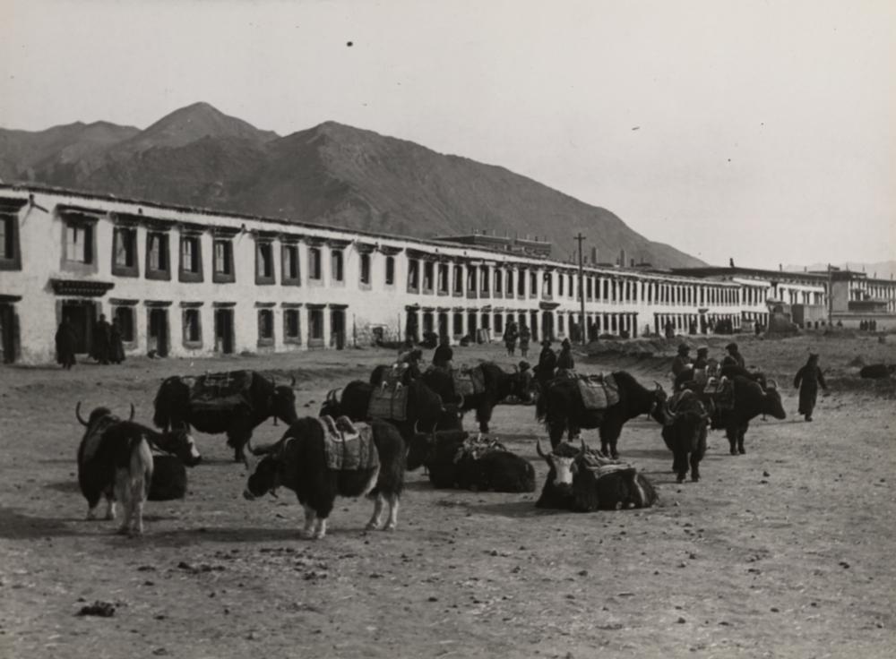 图片[1]-photographic print(black and white); album BM-1986-0313-0.1.32-China Archive